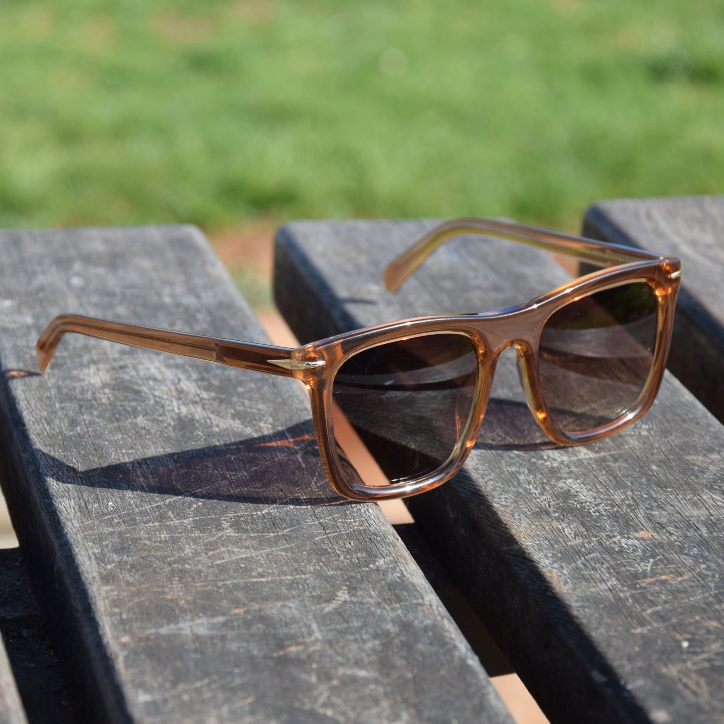 David Beckham DB-7066 T.Brown